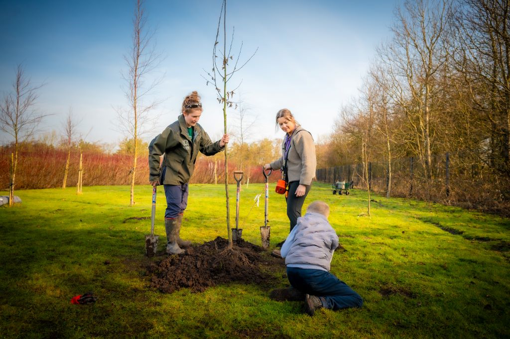 Over 92,000 trees planted across Cumbria