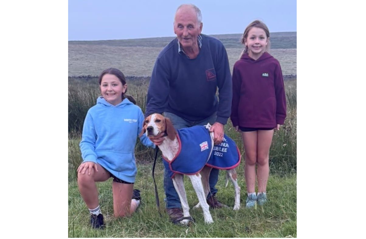 Hounds return to Moss Peteral for racing