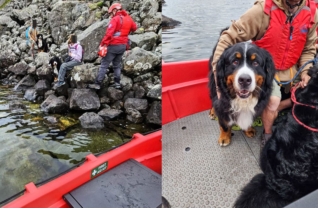 Couple rescued from Lake District walk after Bernese mountain dogs refuse to move