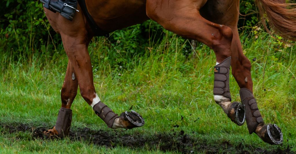 Rider dies after accident at Penrith horse trials